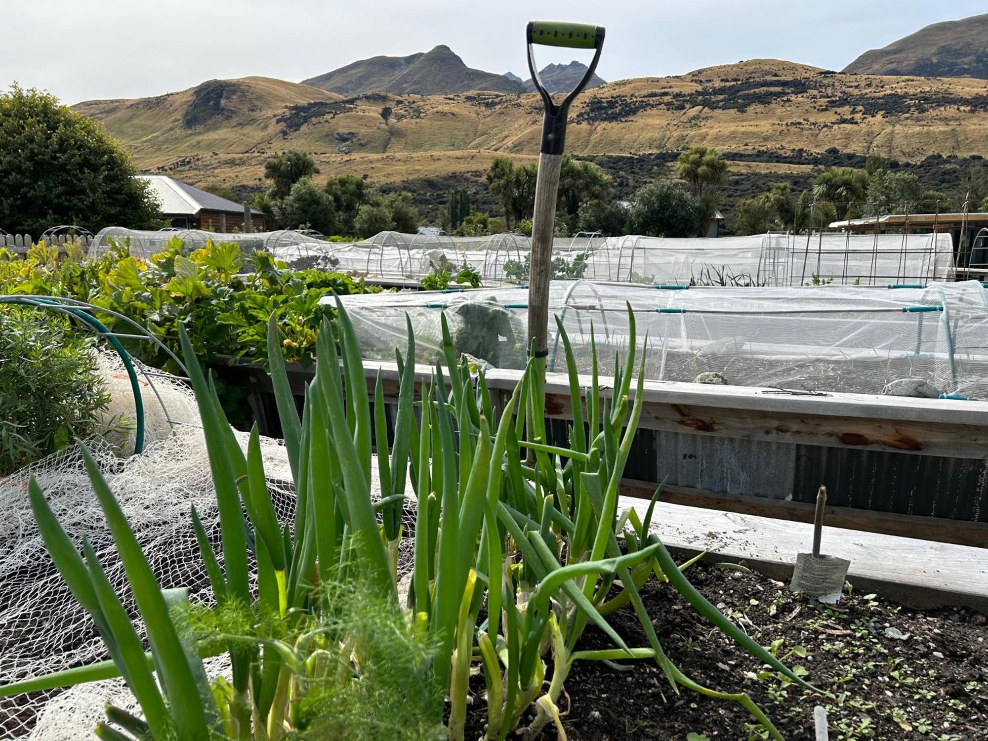 The Headwaters Eco Lodge Glenorchy Exteriör bild